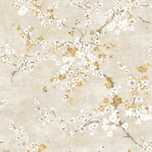 Андреа Росси Нисида (Италия)