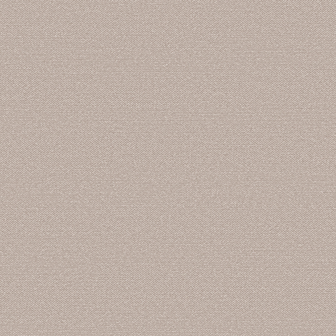 54337-19