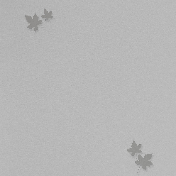 54384-4