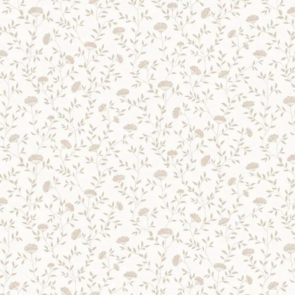 54456-2