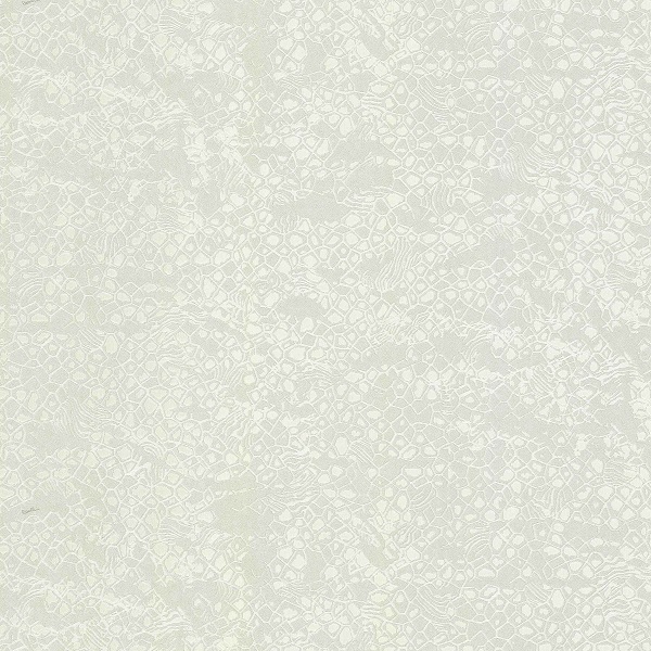 19039