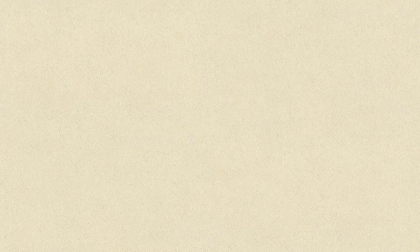 95068