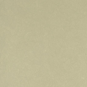 Бернардо Барталуччи Синий Легенда (Италия)