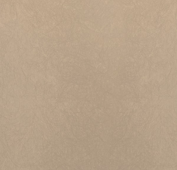 5068-19