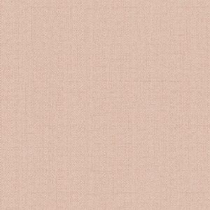 Алессандро Аллори Бруни (Италия)