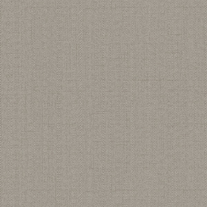Алессандро Аллори Бруни (Италия)