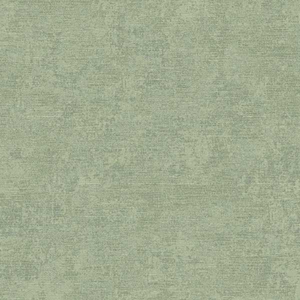 1006-13