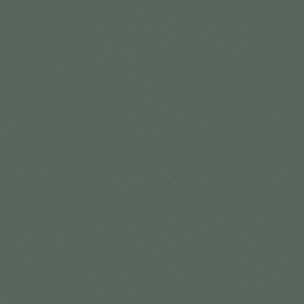 a100111