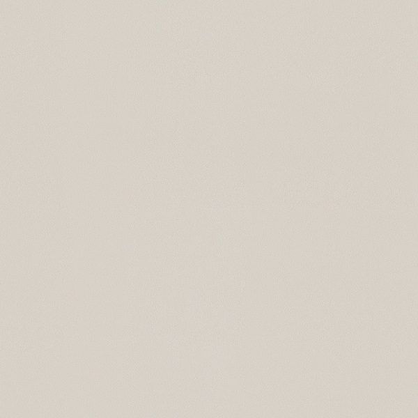 a100205