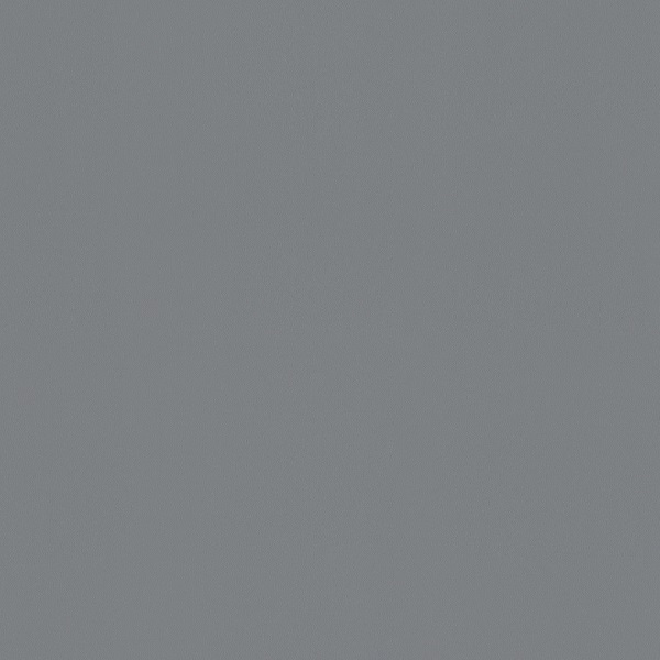 a100216