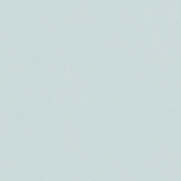 a101207