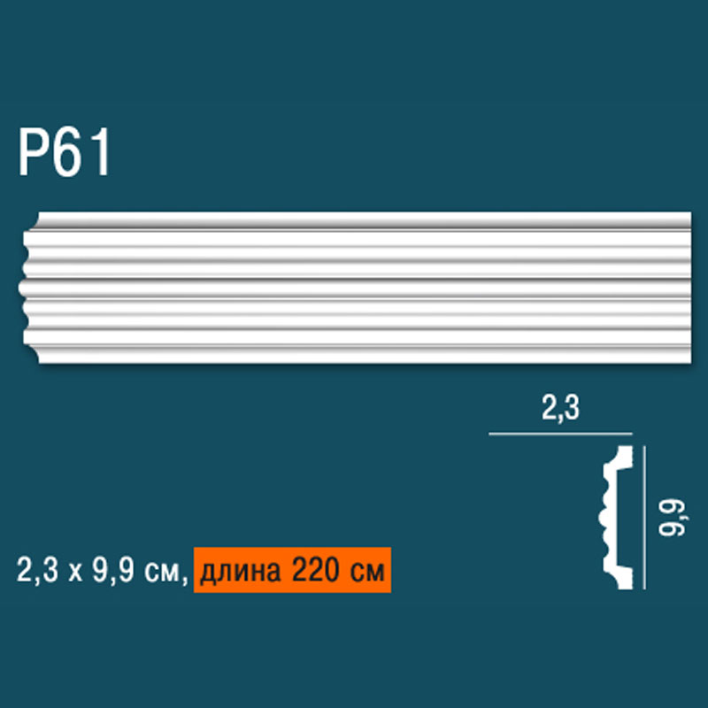 P61